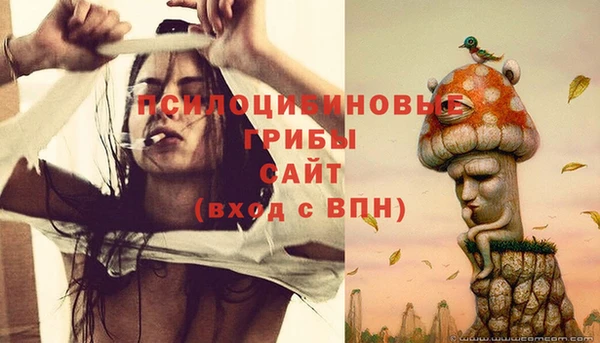 ECSTASY Осинники