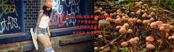 МДПВ Осташков