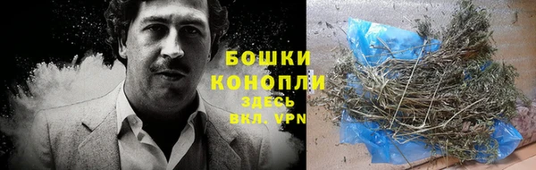 ECSTASY Осинники