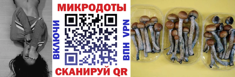 Псилоцибиновые грибы мухоморы Козловка